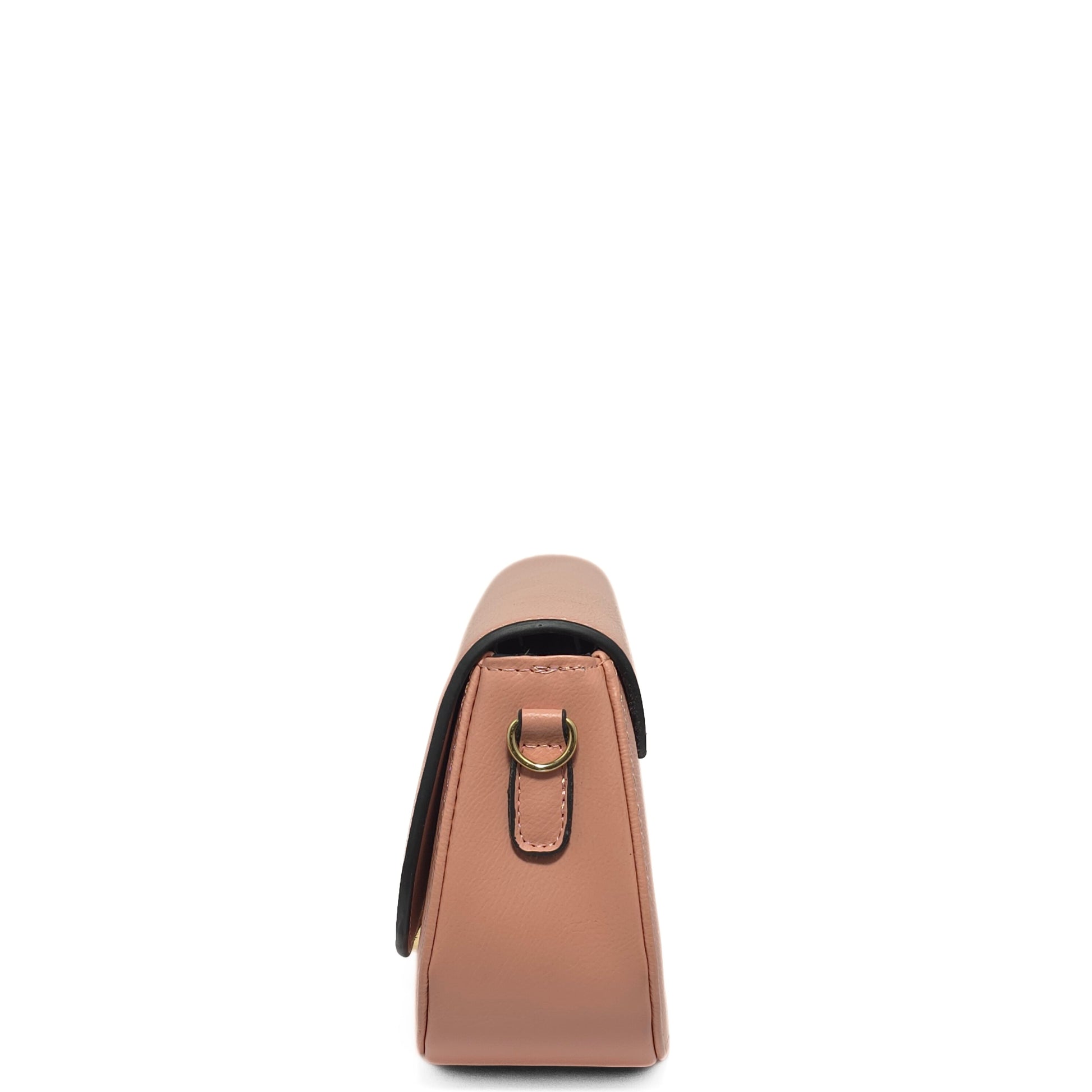 Golden Hook Mini Bag